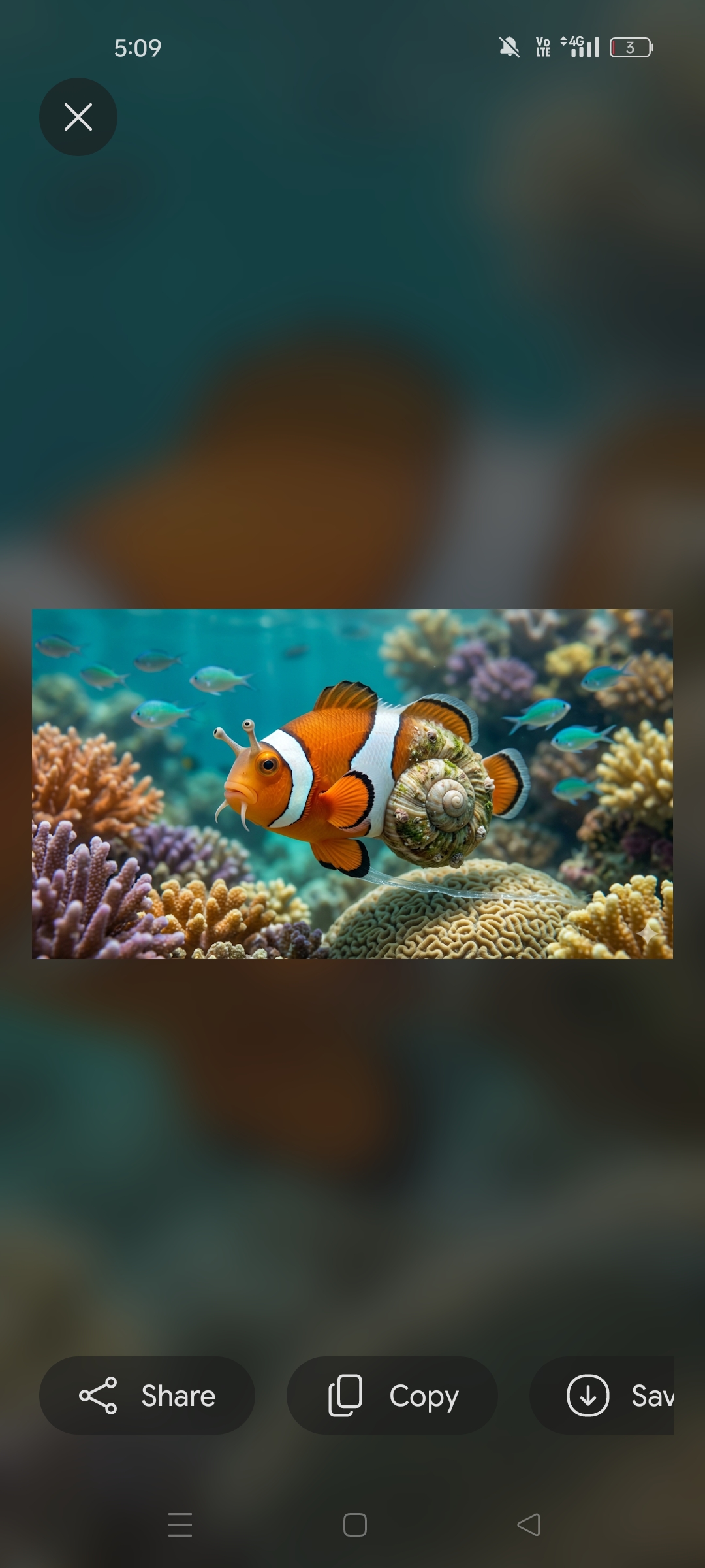 Fish