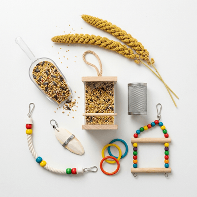 Birds Food & Accessories